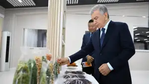 Қашқадарё мева-сабзавотлари юқори қўшилган қийматли маҳсулотларга айланмоқда