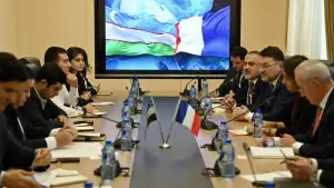 French companies review transport and utility infrastructure development projects in New Tashkent